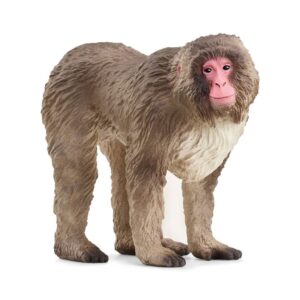 4059433789453-macaque-japonais---schleich-wild-life